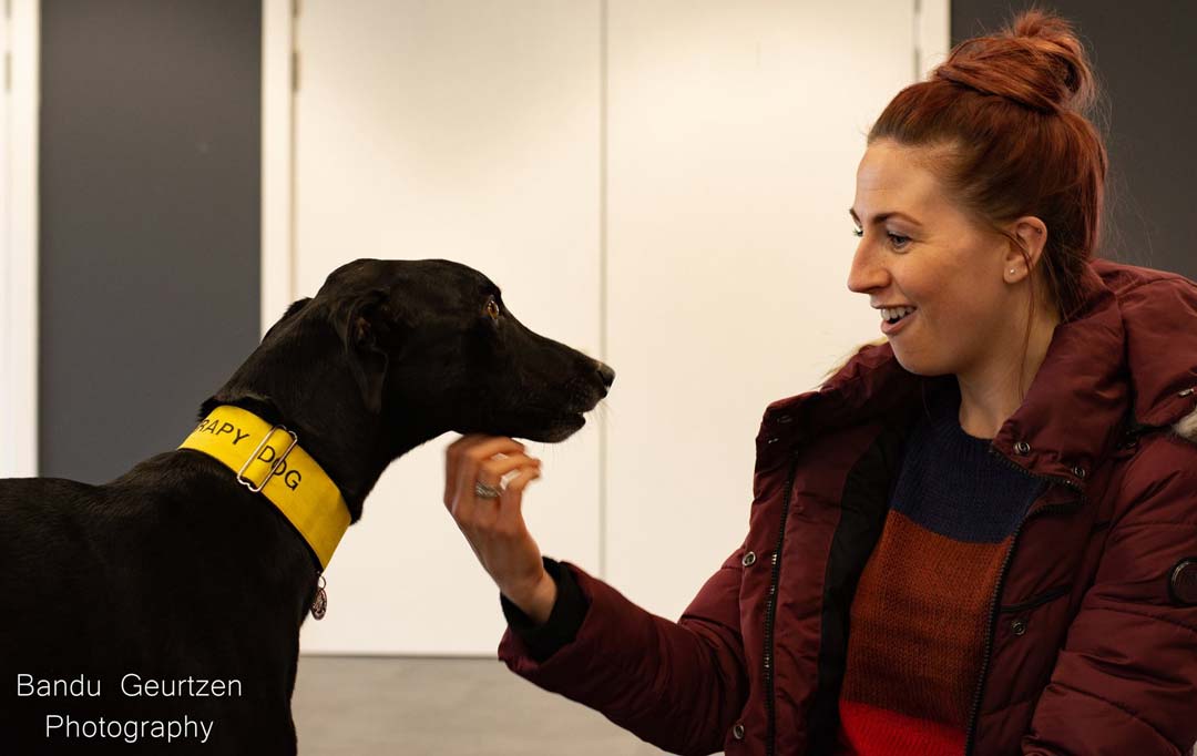 A student stroking a black lurcher-type dog