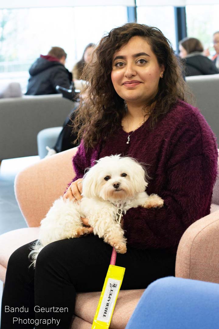 A student sat on a sofa with a white dog in their lap