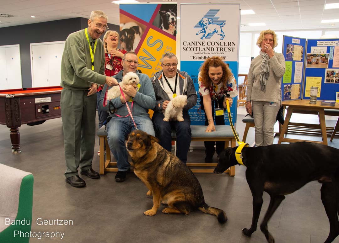 Students and staff all sat on a bench surrounded by dogs