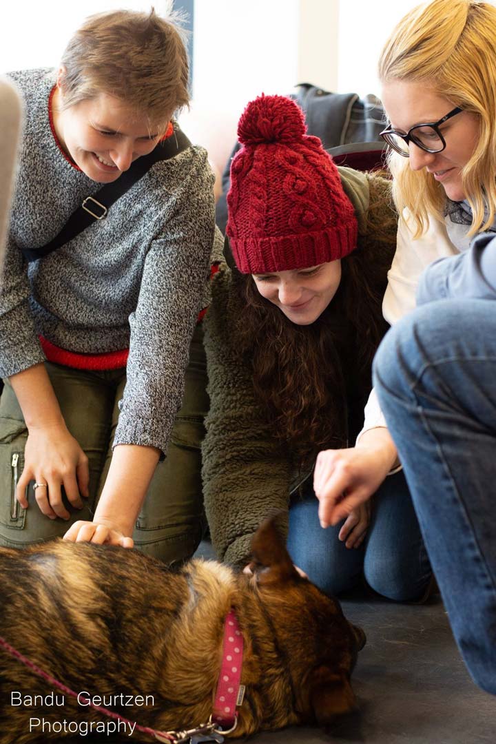 Three students sat on the floor with a brown and black collie-type dog