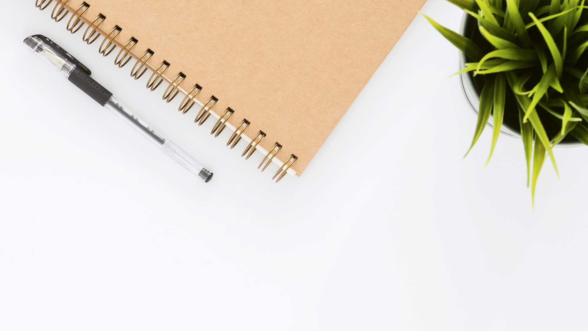 A notepad, pen and plant on a white table