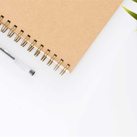 A notepad, pen and plant on a white table