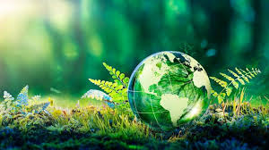 Image of a green globe on grass